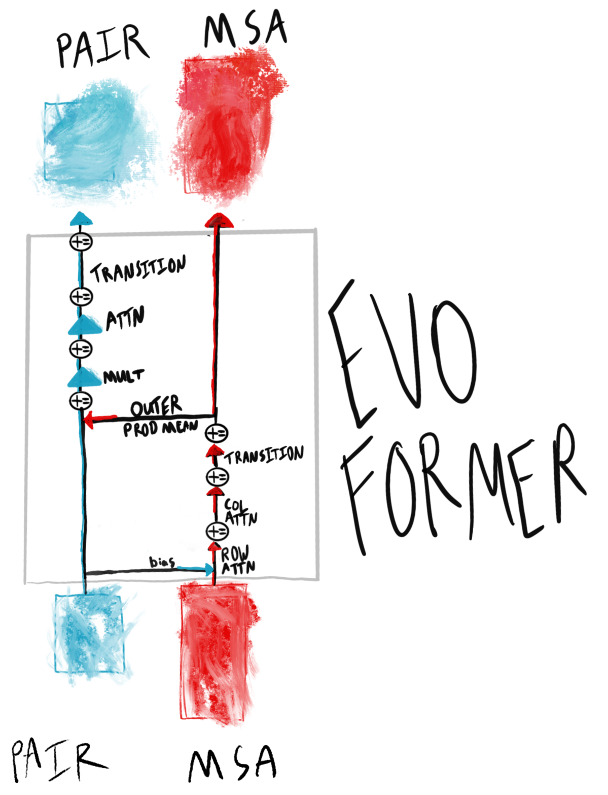 Evoformer architecture iteratively refines the pair and MSA representations.