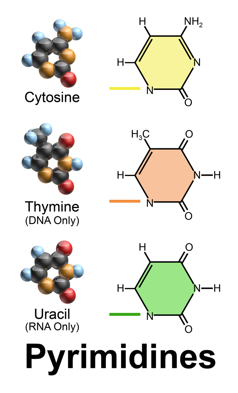 Pyrimidines