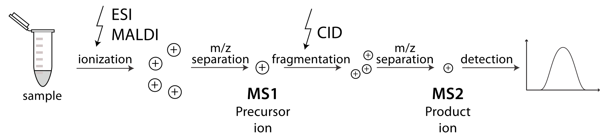 Tandem Mass Spectrometry